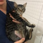 ‘Enerjimiz Dostlarımız İçin’ Projesi