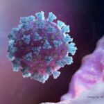 Yeni bir corona virüsü türü tespit edildi: 10 kat daha tehlikeli
