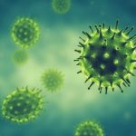 Çin’nde ‘Monkey B’ virüsünden ilk can kaybı…
