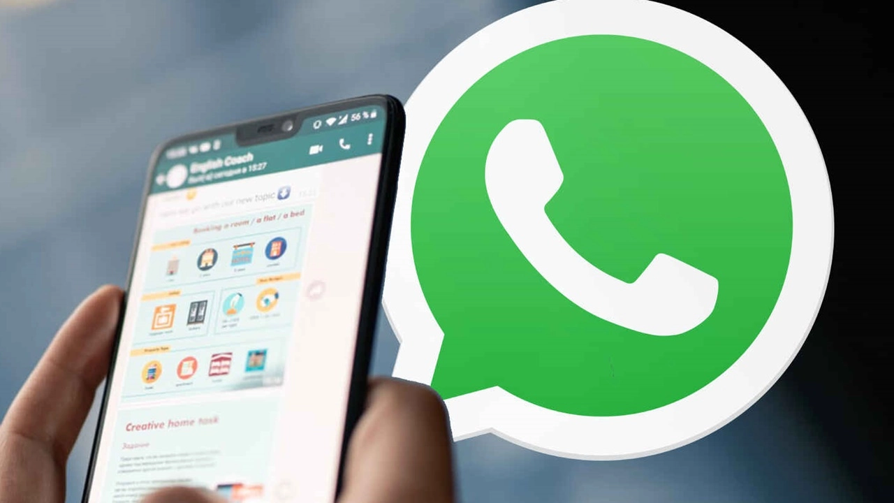 WhatsApp tikleri ve anlamları 