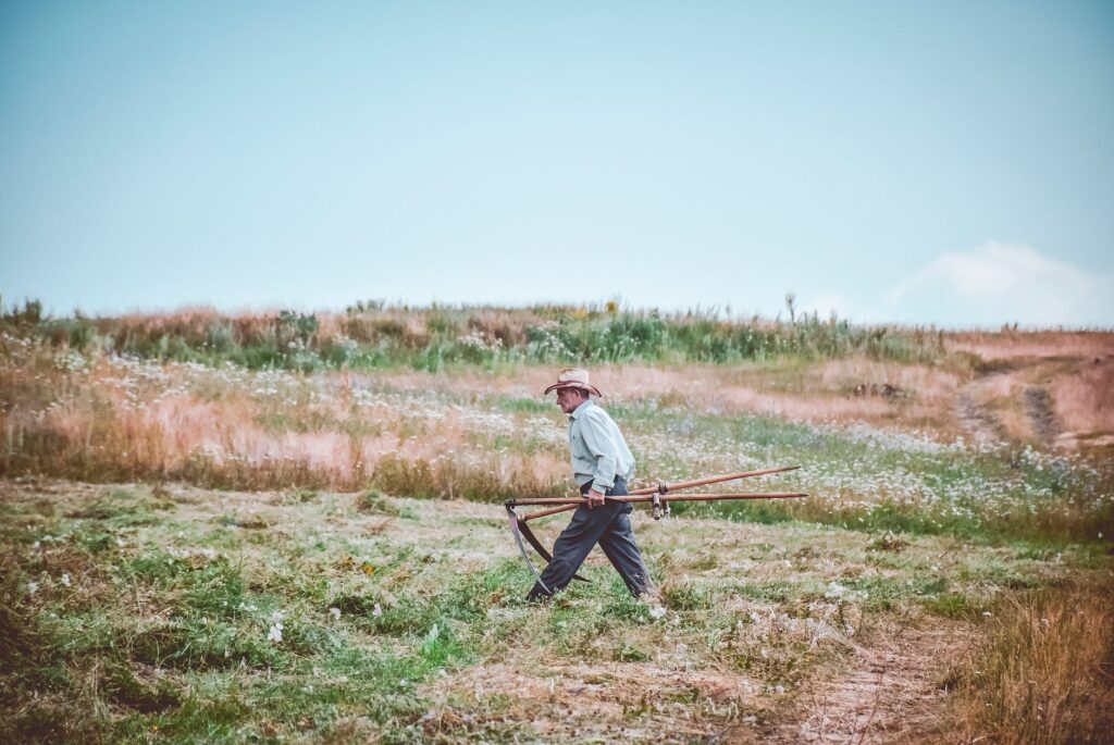 man walking on farm