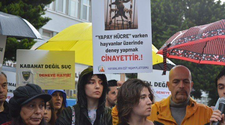 Deney değil işkence merkezi