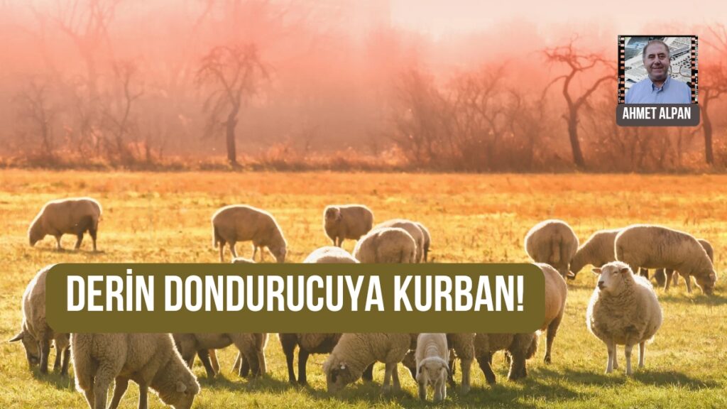 DERİN DONDURUCUYA KURBAN!