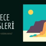 GECE SESLERİ