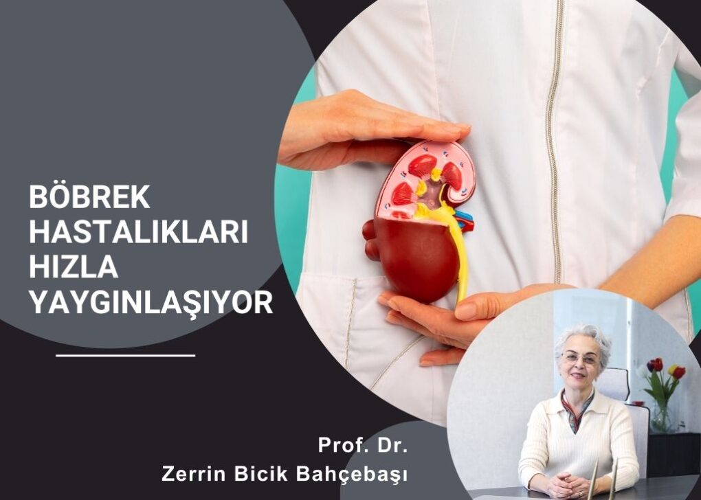 BÖBREK HASTALIKLARI HIZLA YAYGINLAŞIYOR