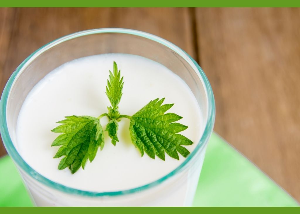 Araştırmalara göre süt ürünleri, susuzluğu gidermede etkili bir seçenek